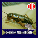 Sounds of Mouse Rickets icon