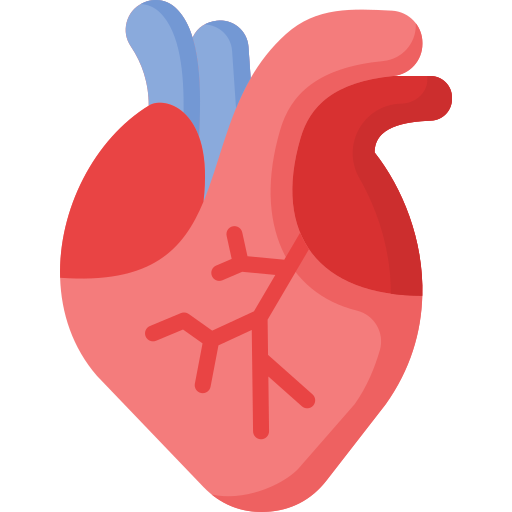 3D Human Anatomy Download on Windows