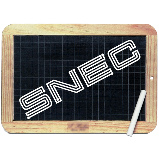SNEC : Solve New Enigma Count logo