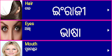 screenshot of Learn English from Odia