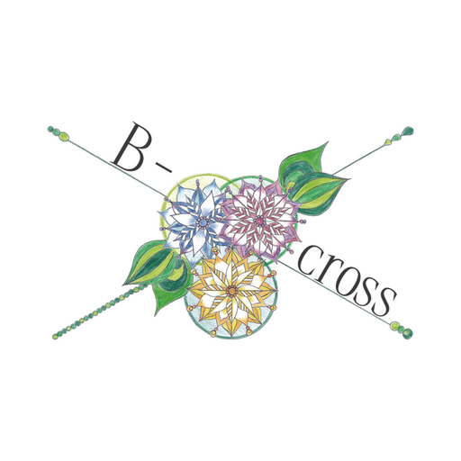B-cross logo