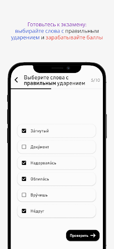Орфоэпия - ударения ЕГЭ Screen 3