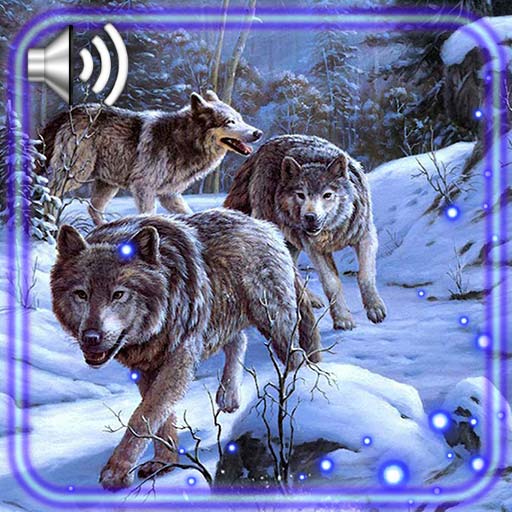 Winter Wolf Live Wallpaper
