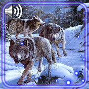 Winter Wolf Live Wallpaper  Icon