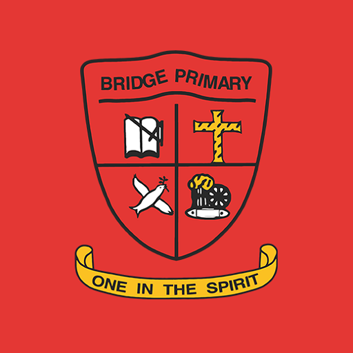 Bridge IPS logo