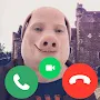 John Pork Video Call Prank