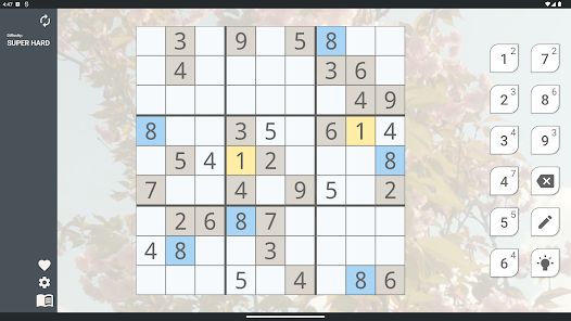 Screenshot image