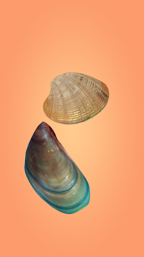 Android application Pearl Master screenshort