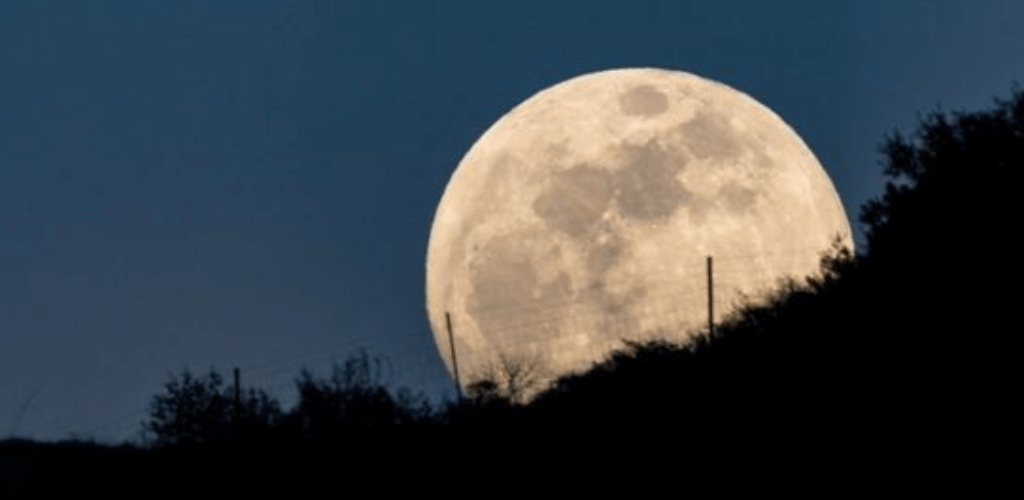 Lunar бесплатный. Урожайная Луна. Полнолуние май. Луна и растения. Ночь 26 мая полная Луна.