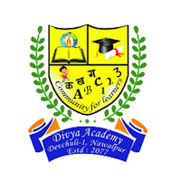 Divya Academy