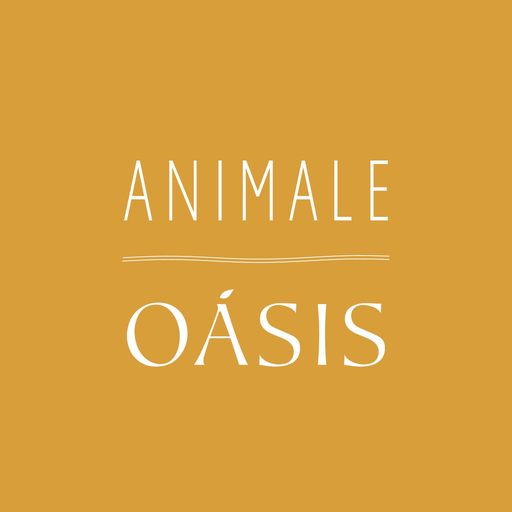Animale - Moda Feminina Unduh di Windows