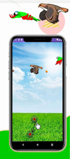 Rakhine Bird Shot Screen 3