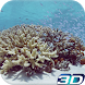 Sea Life Video Live Wallpaper - Androidアプリ