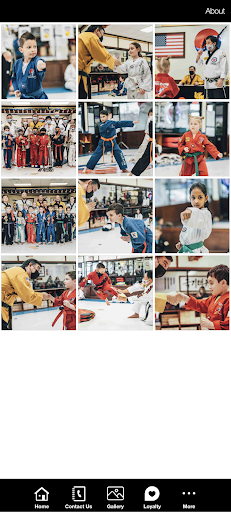 Uns Dragon Taekwondo Screen 3