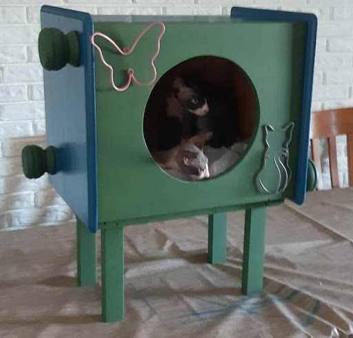 Unique Cat House Ideas