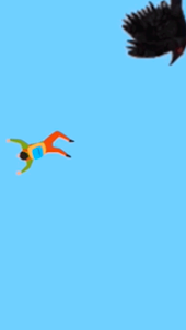 Skydiver Fly