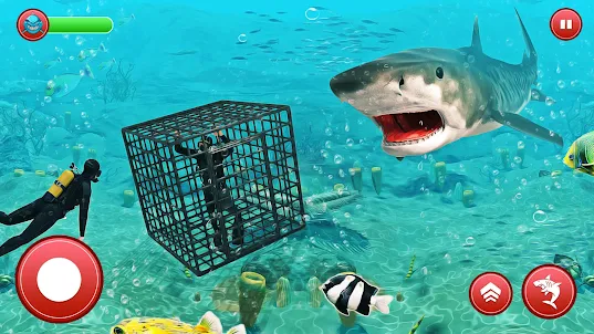Shark Fishing Hungry Games
