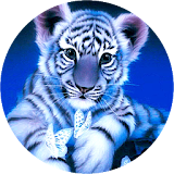 Little Blue Tiger Wallpaper icon
