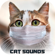 Cat sounds 2020