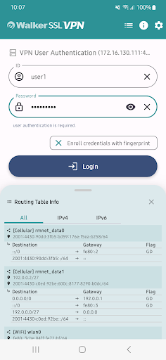 eWalker SSL VPN Screen 2