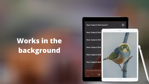 NewZealand Bird Sounds Screenshot 3 - AppWisp.com
