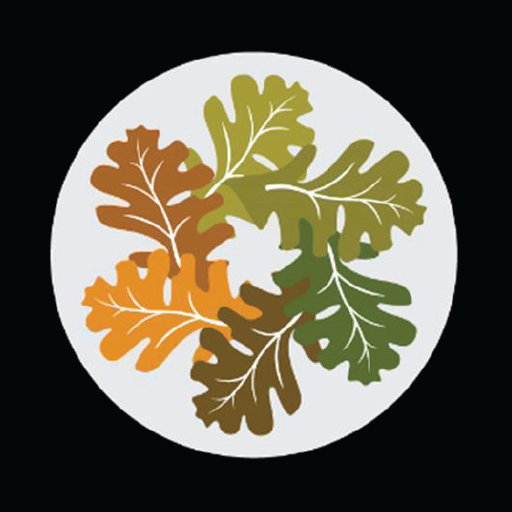 Scenic Oaks Mobile Mortgage logo