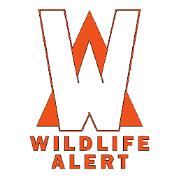 「FWC Wildlife Alert」圖示圖片