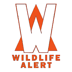 FWC Wildlife Alert - Apps on Google Play