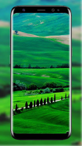 Green Wallpaper Screenshot 1 - AppWisp.com