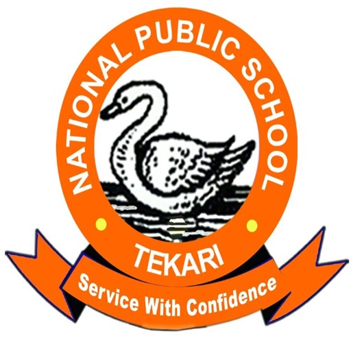 National Public School logo