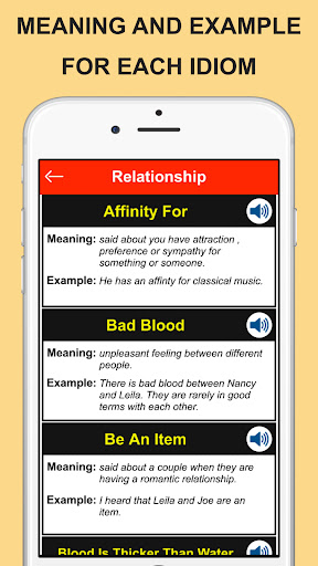 Idioms and Phrases Vocabulary Screen 3