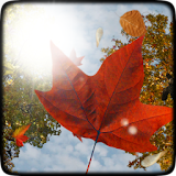 Falling Leaves Live Wallpaper icon