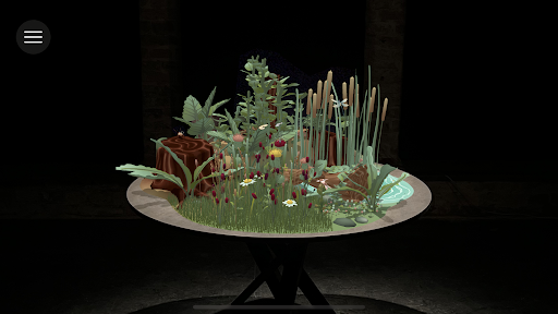 Insects & Us Screen 2