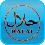 Halal or Haraam E-codes icon