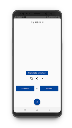 Nepali to Korean - Voice, Text Screen 3