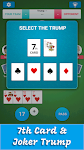 screenshot of Card Game 29