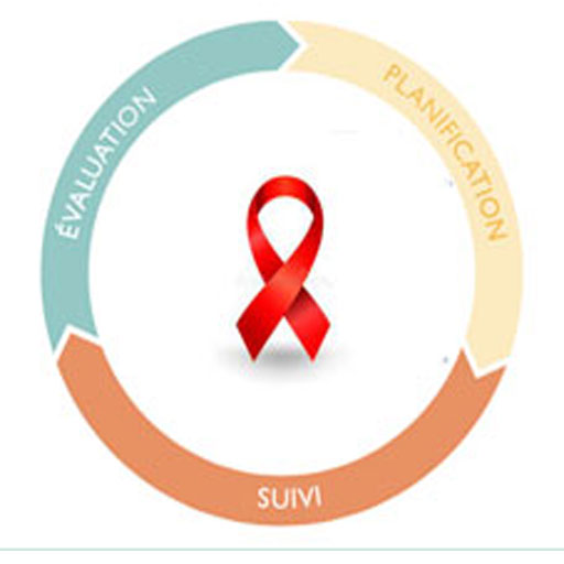 SEN Suivi-Evaluation VIH logo