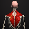 Anatomy by Muscle & Motion icon