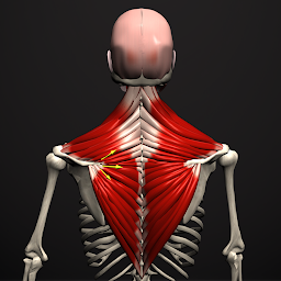 Anatomy by Muscle & Motion Mod Apk