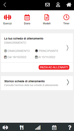 Palestra Solid Base Screen 2