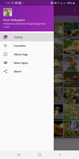 Android application Duck Wallpapers Gallery screenshort
