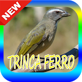 CANTOS DE TRINCA FERRO icon