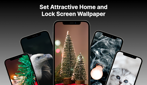 Live Wallpaper: HD Wallpaper Screen 3