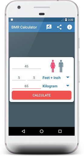 Basal Metabolic Rate Calculato Screen 3