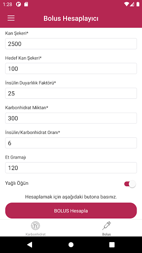 Karbonhidrat-Bolus Hesaplayıcı Screen 3
