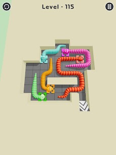 Snake Escape Puzzle 9