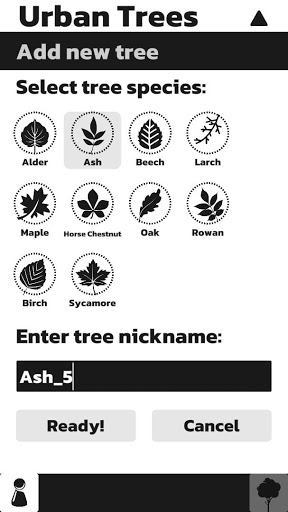 Urban Trees Screen 3