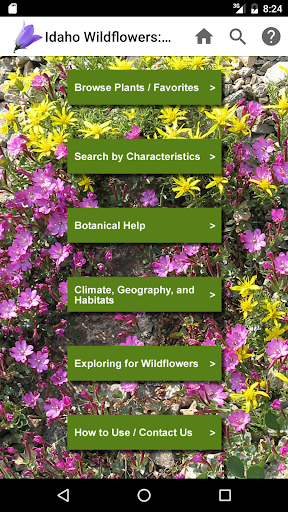 Screenshot of Idaho Wildflowers