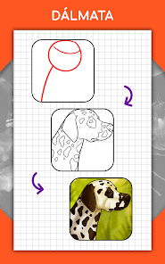 Imágen 21 Cómo dibujar animales. Pasos android
