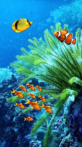 Fish Lock Screen Live Wallpape